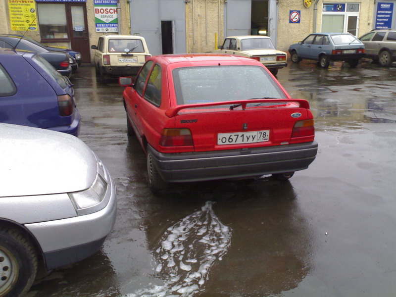 03042007137.jpg