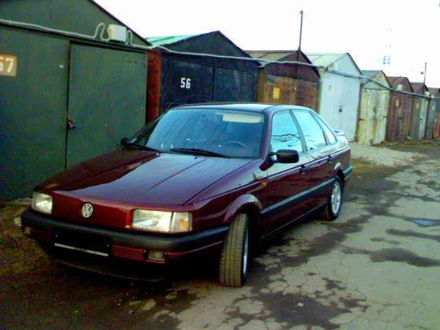DSC00337.JPG