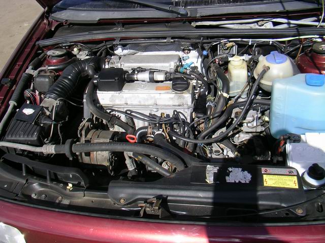 SANY3127_640x480.JPG