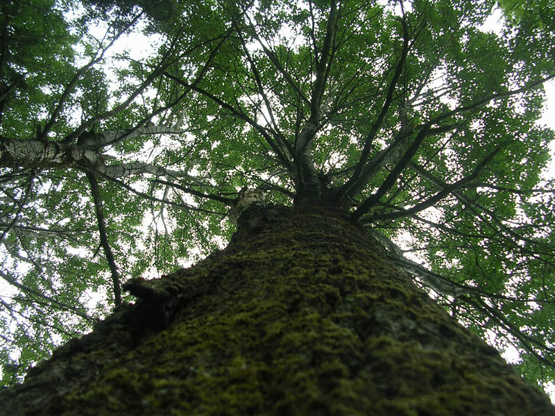 DSCN2231.jpg