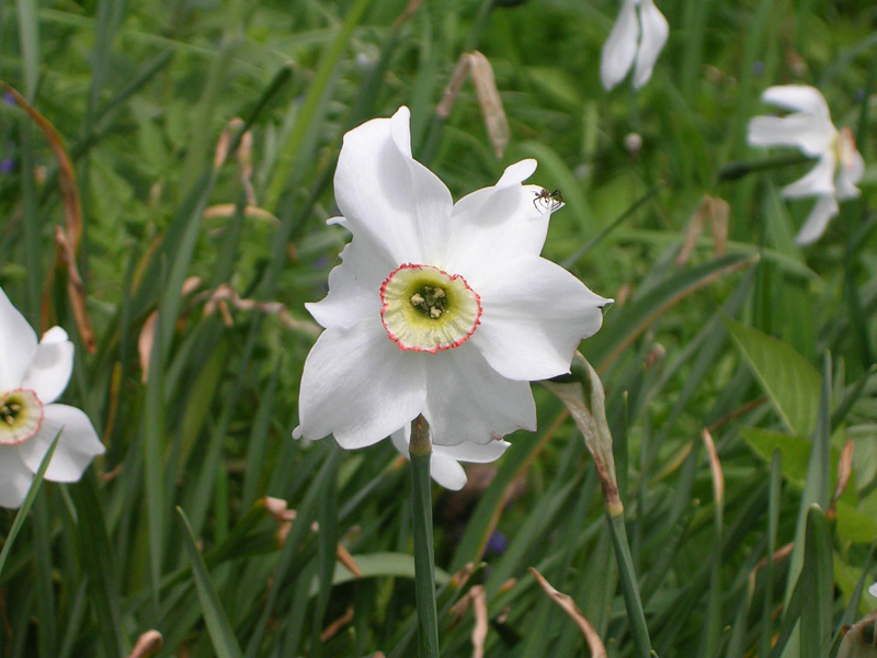 DSCN2208.jpg