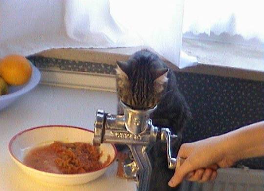 image006.jpg