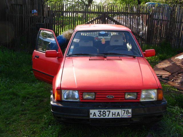 PICT4.jpg