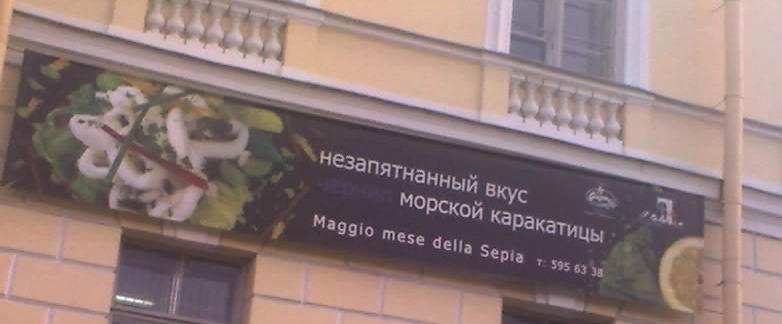 31-05-07_1332.jpg