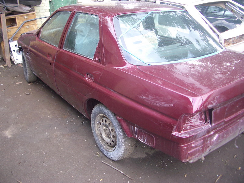 IMGP1031.jpg