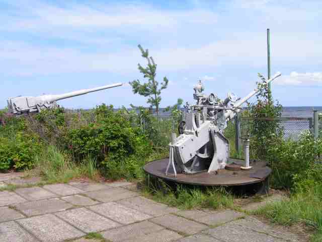 PICT8035.jpg