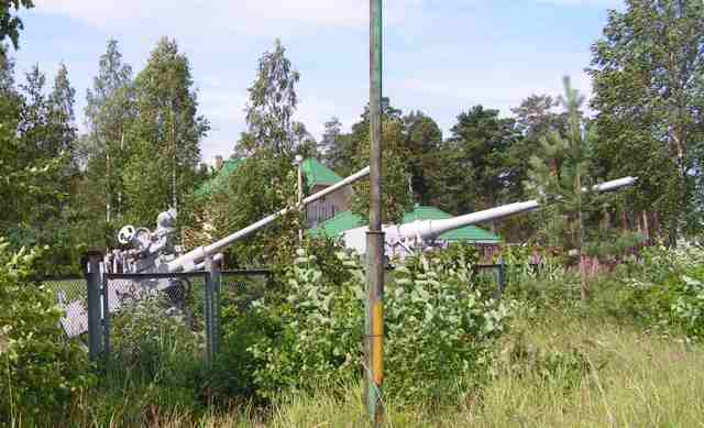 PICT7992.jpg