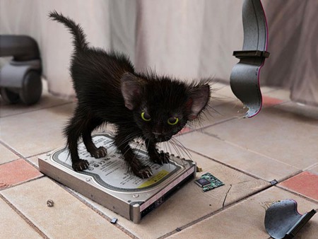 1139508704_20060205kitty5uq.jpg