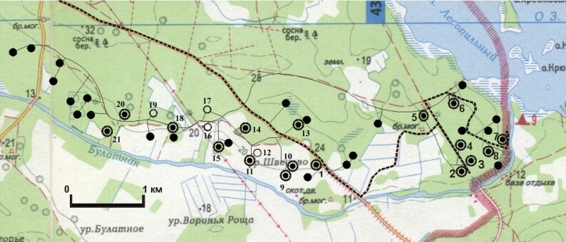 115.jpg