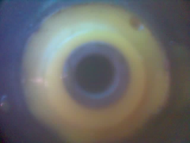 12-07-07_2332.jpg