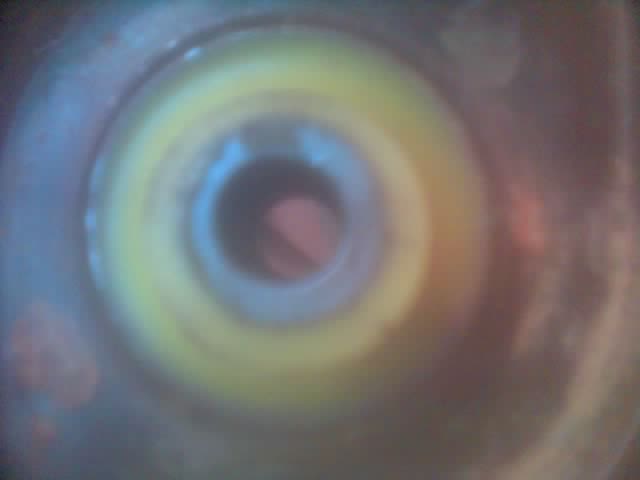 12-07-07_2331.jpg