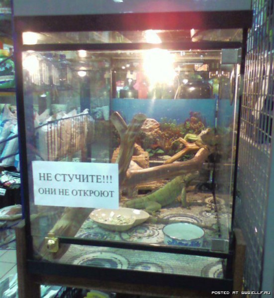 1177343201_4147682jnl.jpg
