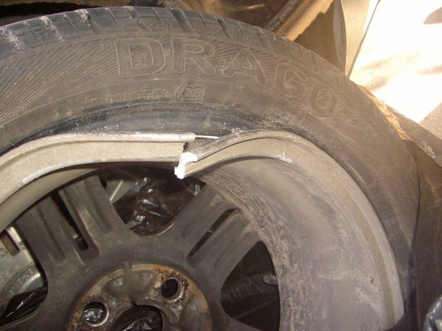 IMGP1103.jpg