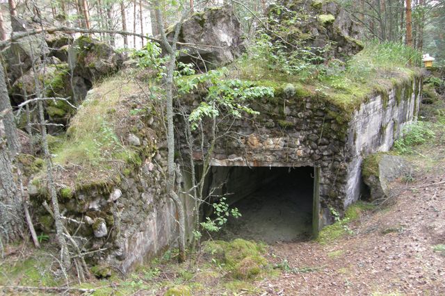55.jpg