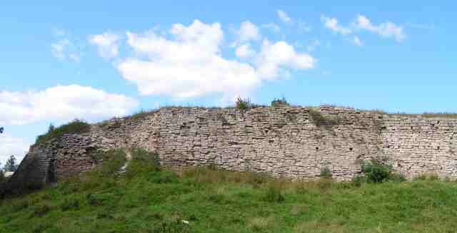 PICT8265.jpg