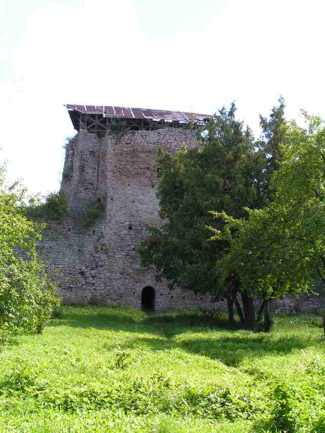 PICT8273.jpg