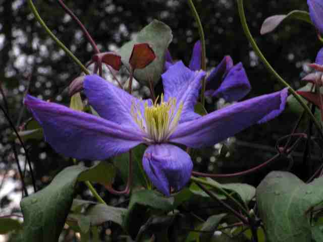 PICT8250.jpg