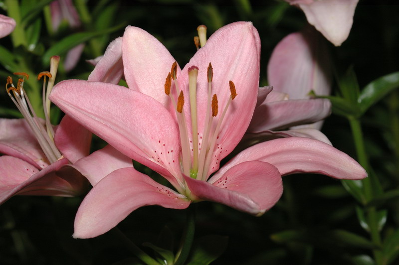 DSC_6574_.jpg