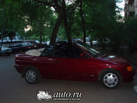 ad332066.jpg