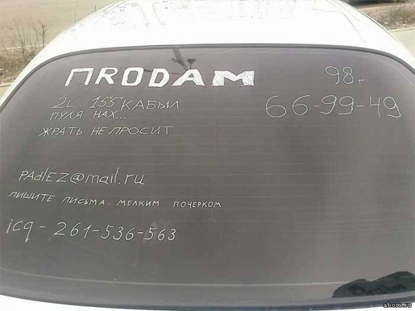 48348.jpg