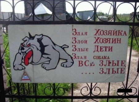 49786.jpg