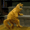 av28lx.gif