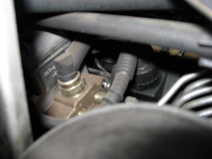 Picture 004.jpg