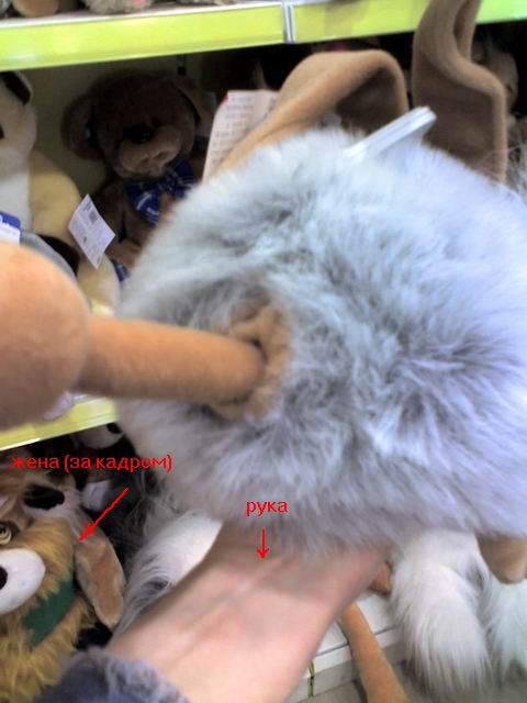 рука.jpg