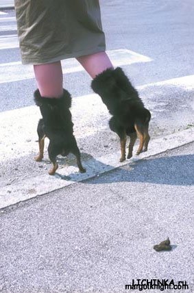 1193247518_apex_twins_1.jpg