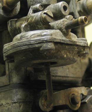 pic3.jpg