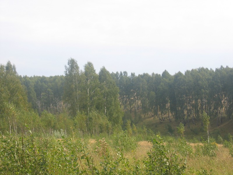 IMG_4529_1.jpg