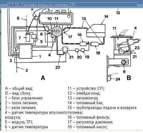 рег.д..JPG