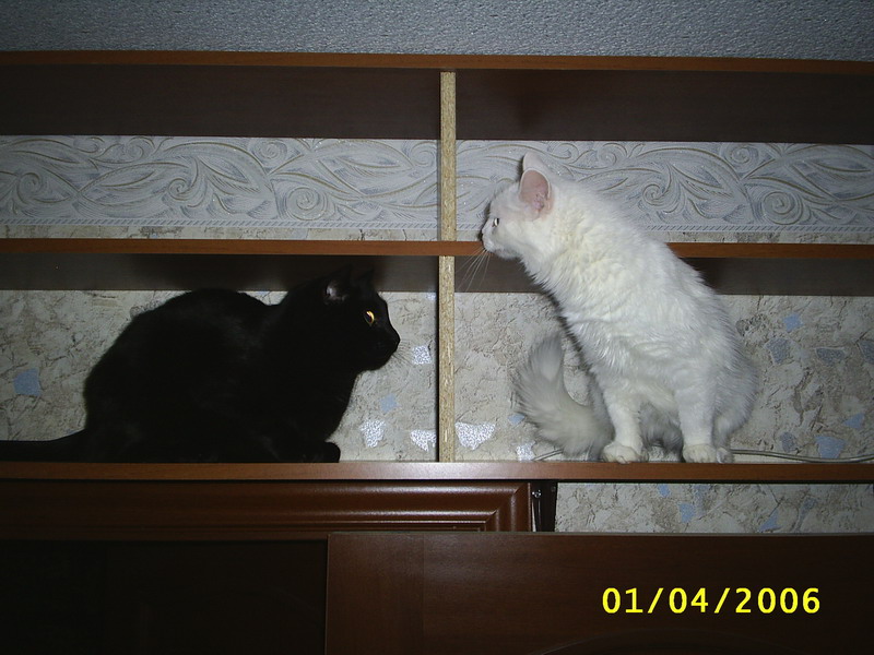 Darth & Dasha.jpg