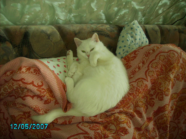 PICT0015.JPG