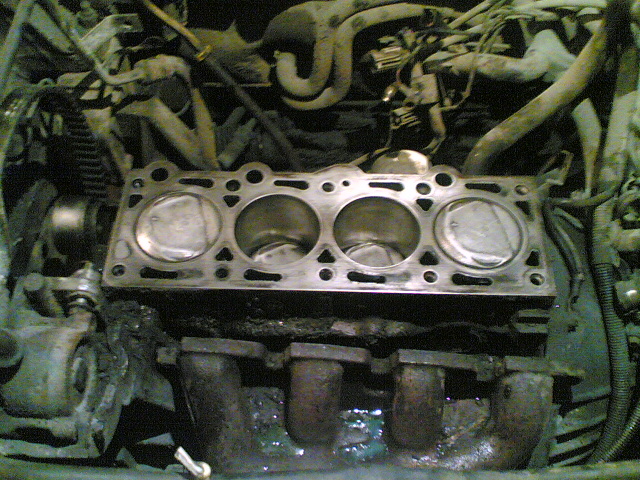 08112007(003).jpg