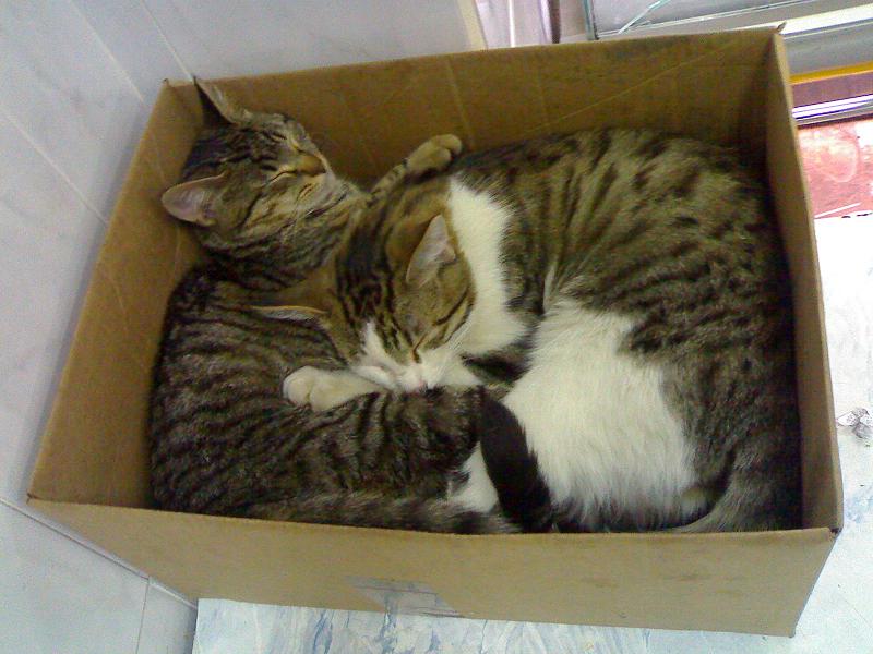 23012008120.jpg