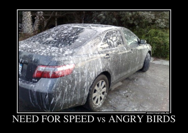 637921_need-for-speed-vs-angry-birds.jpg