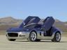 Ford Shelby GR1 Concept Aluminum Body